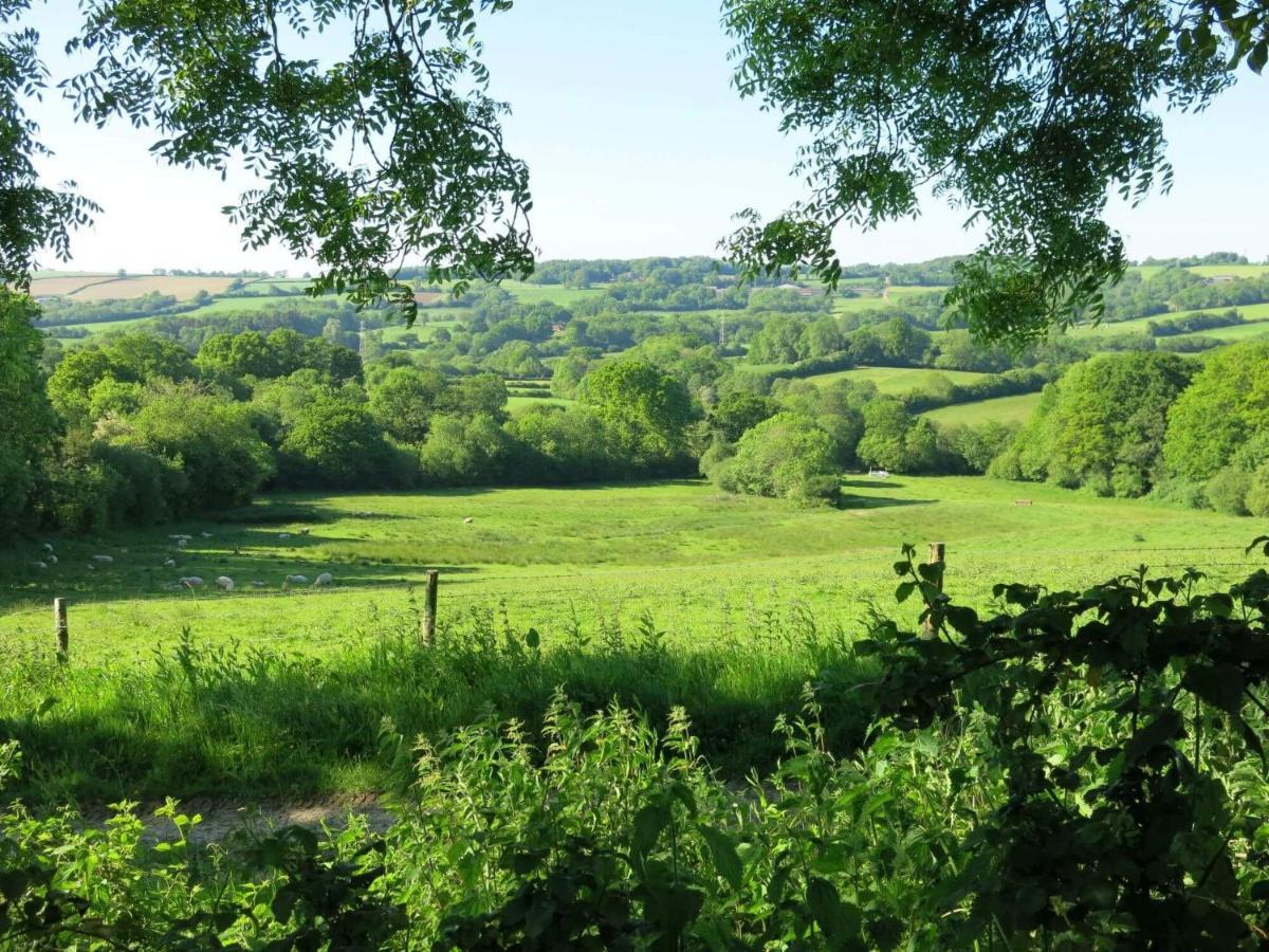 Villa Meadow Barn Axminster Esterno foto