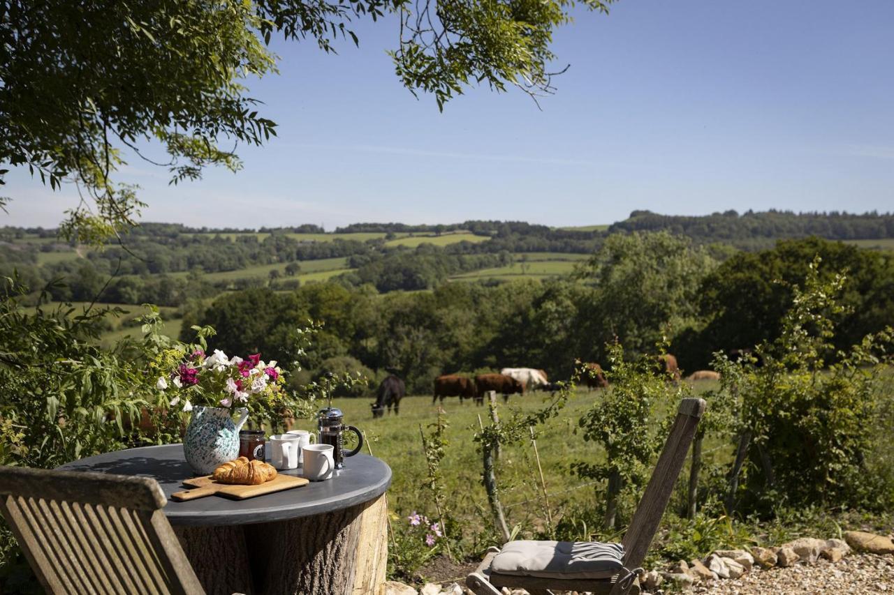 Villa Meadow Barn Axminster Esterno foto
